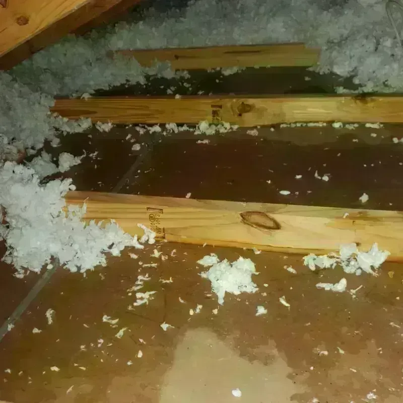 Attic Water Damage in Hesperia, CA