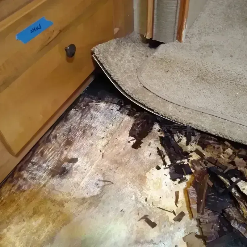 Wood Floor Water Damage in Hesperia, CA